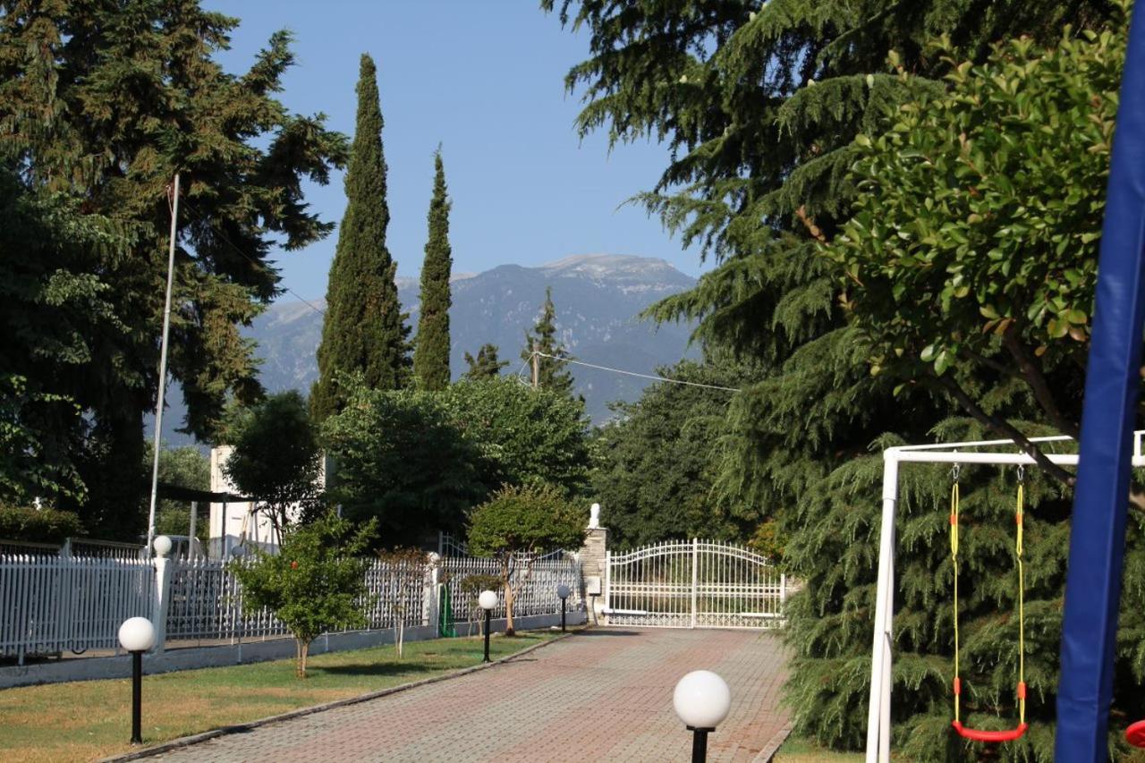 Sunrise Luxury Villa Plaka Litochorou Luaran gambar