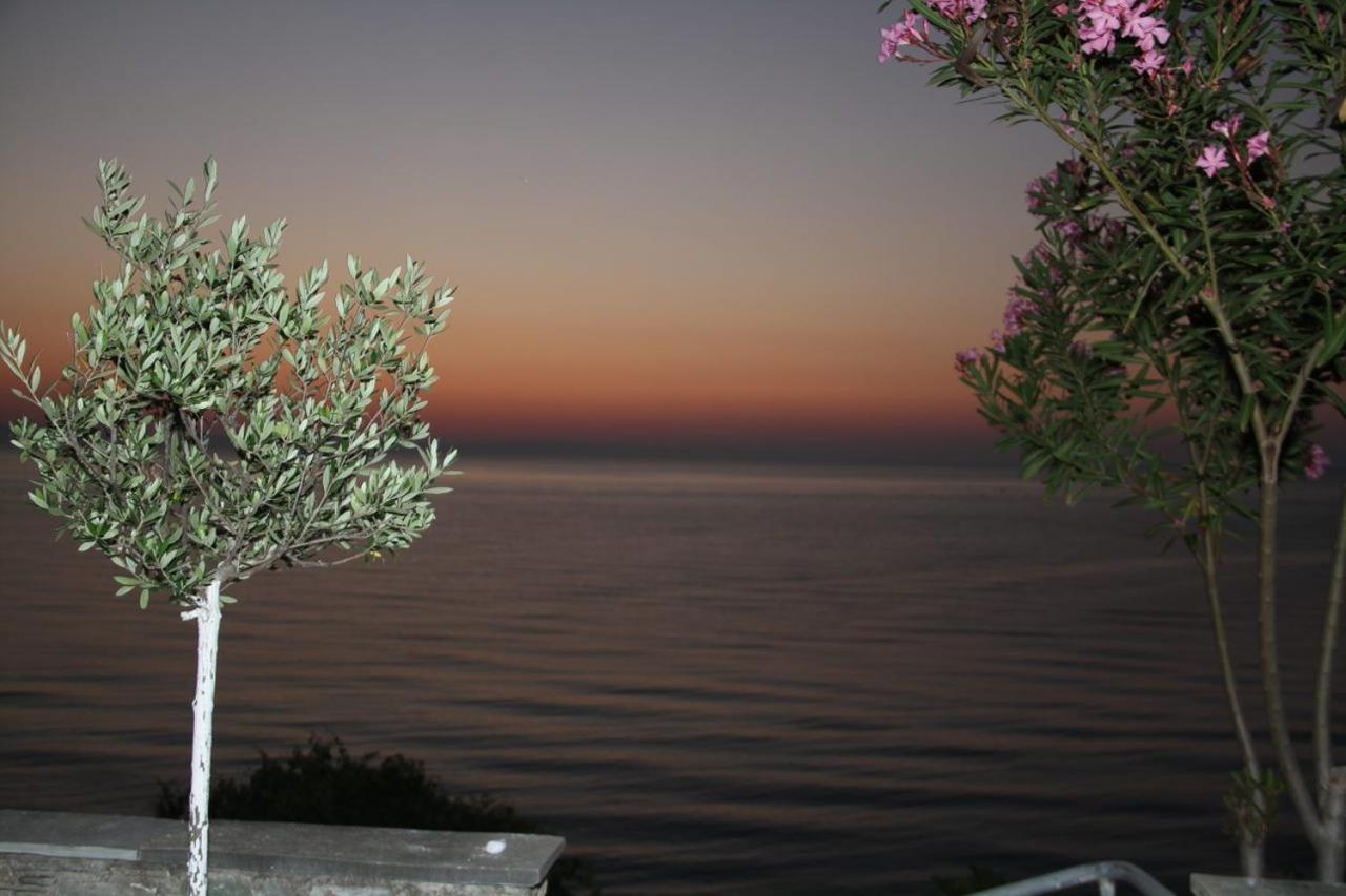 Sunrise Luxury Villa Plaka Litochorou Luaran gambar